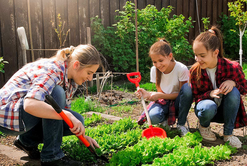 Pick The Best Planting Landscape Environments